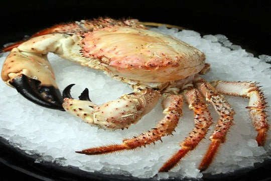 CHAMPAGNE CRAB 香槟蟹