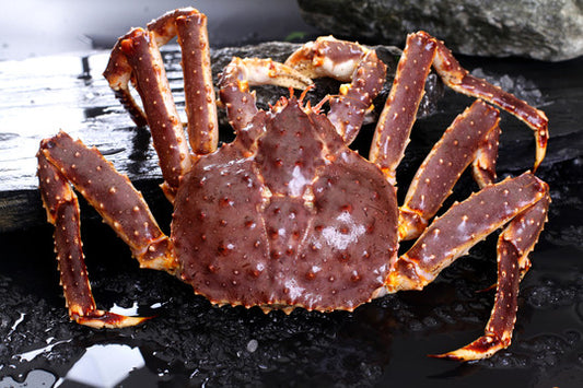 ALASKAN KING CRAB 阿拉斯加螃蟹