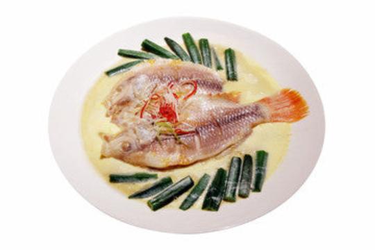 RED TILAPIA 尼罗红