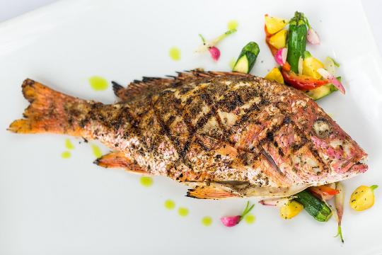 RED SNAPPER 红鸡鱼