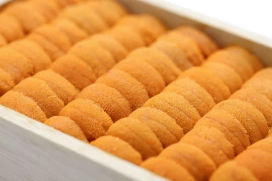 BAFUN UNI SASHIMI GRADE 刺身 马粪海胆