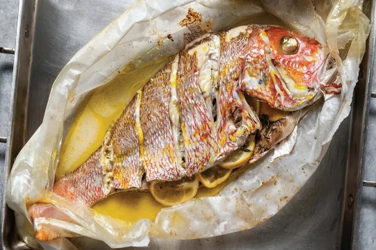 RED SNAPPER 红鸡鱼