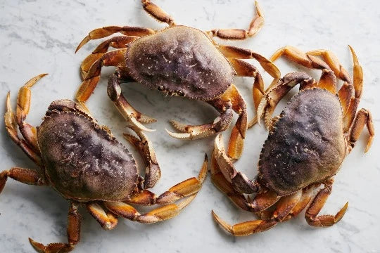 DUNGENESS CRAB 珍宝蟹