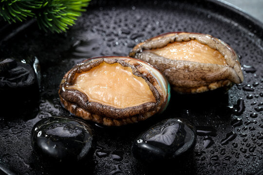 LIVE ABALONE 小鲍鱼