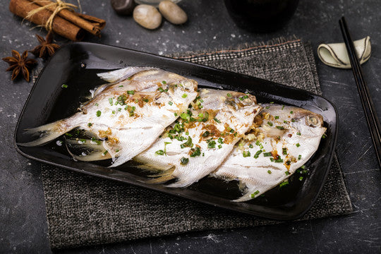 CHINESE POMFRET 斗鲳鱼