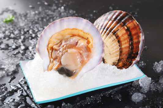 FROZEN HALF SHELL SCALLOP 冰冻扇贝