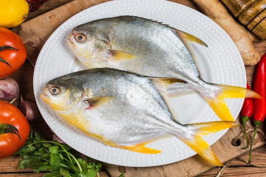 GOLDEN POMFRET 金鲳鱼