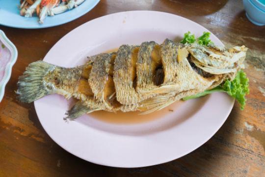 SEABASS LIVE 活金目鲈